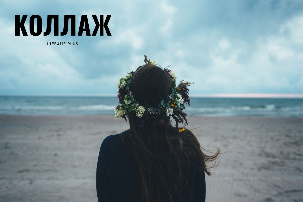 Все записи блога - изображение 2