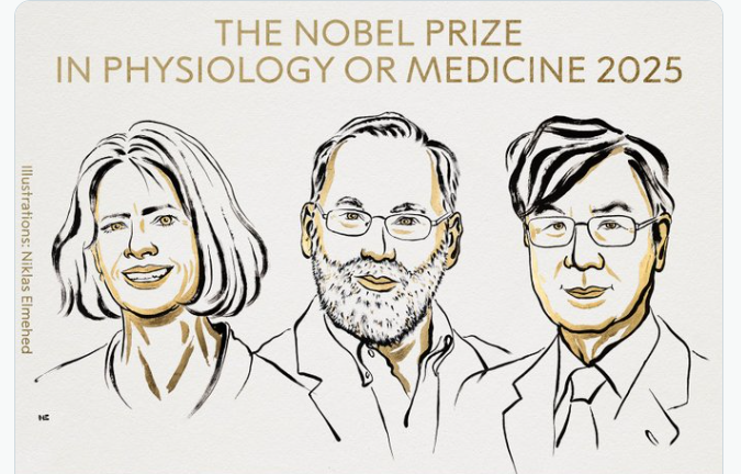Трое учёных получили Нобелевскую премию за открытия в иммунологии