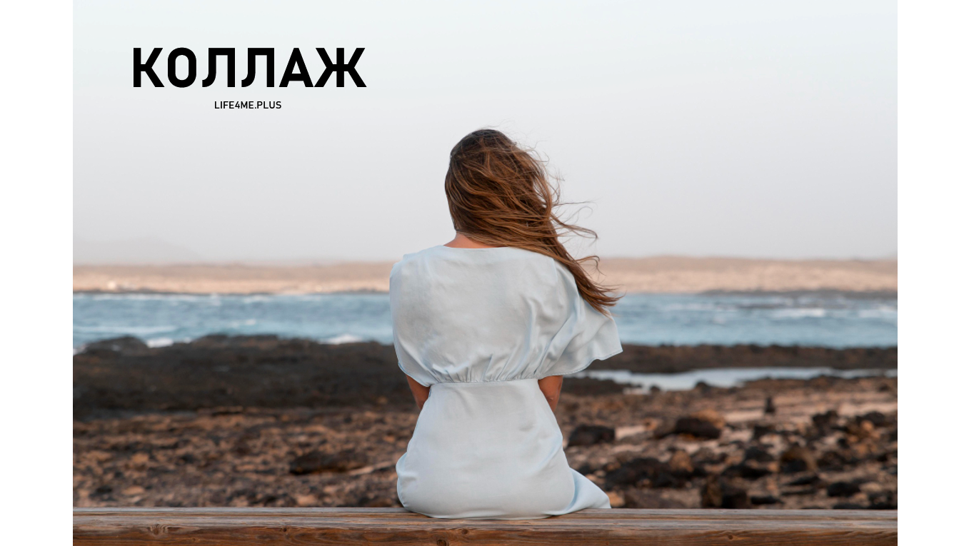 Все записи блога - изображение 2