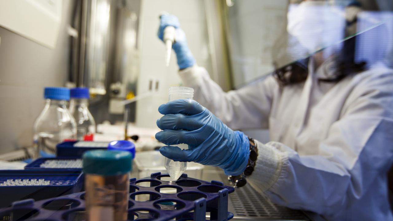 The Gates Foundation to fund $9m to a firm working on HIV cure - picture 1 The Gates Foundation to fund $9m to a firm working on HIV cure - picture 1