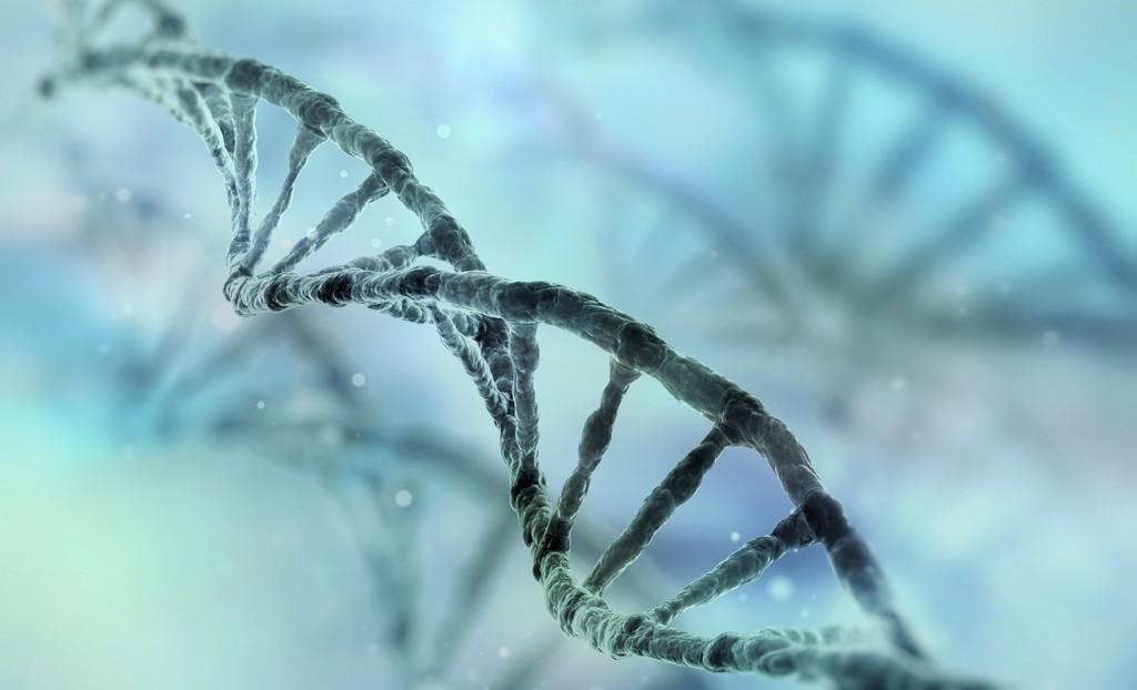 Ученые используют технологию редактирования генома CRISPR / Cpf1 для искоренения ВИЧ - изображение 1 Ученые используют технологию редактирования генома CRISPR / Cpf1 для искоренения ВИЧ - изображение 1