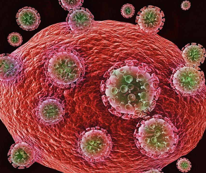 Mutated subtype of HIV from the Philippines threatens with a new outbreak of the epidemic - picture 1 Mutated subtype of HIV from the Philippines threatens with a new outbreak of the epidemic - picture 1