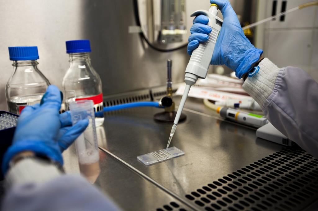 10 of 16 HIV Patients Still Undetectable After Weekly Injections of Antibody PRO 140 - Bild 1 10 of 16 HIV Patients Still Undetectable After Weekly Injections of Antibody PRO 140 - Bild 1