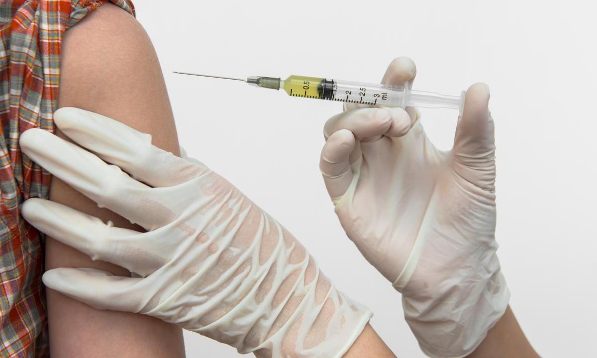 Injection of the cloned antibody significantly reduced viral load - Bild 1 Injection of the cloned antibody significantly reduced viral load - Bild 1