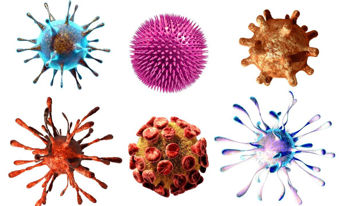 Could a virus kill HIV? Ottawa research shows promise - picture 1 Could a virus kill HIV? Ottawa research shows promise - picture 1