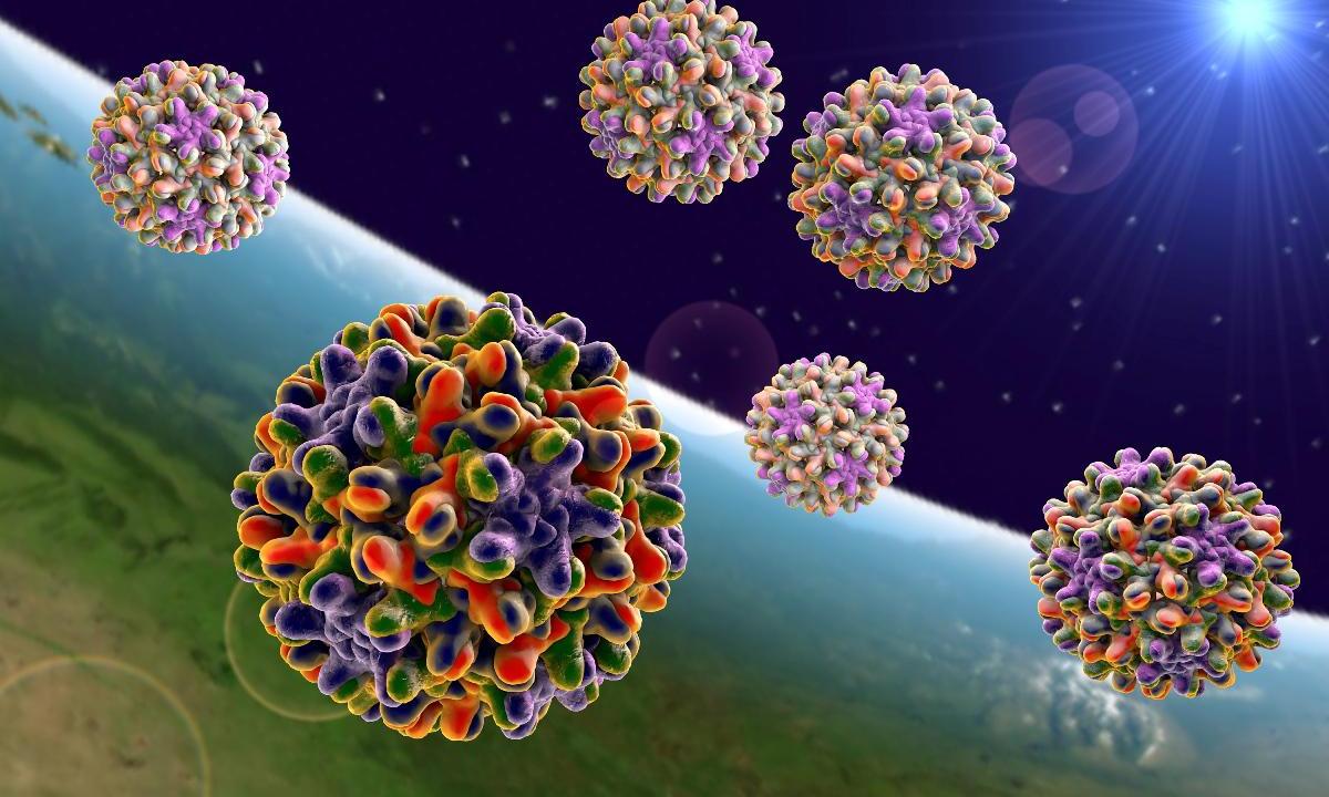 New insight into how some viruses establish a chronic infection - picture 1 New insight into how some viruses establish a chronic infection - picture 1