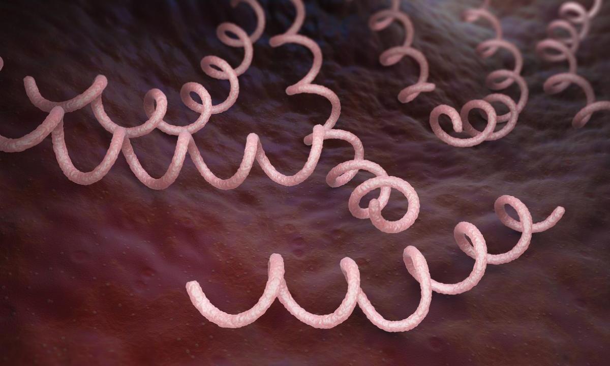 Опровергнута связь между мутацией CCR5Δ32 и риском смерти от любых причин - изображение 1 Опровергнута связь между мутацией CCR5Δ32 и риском смерти от любых причин - изображение 1