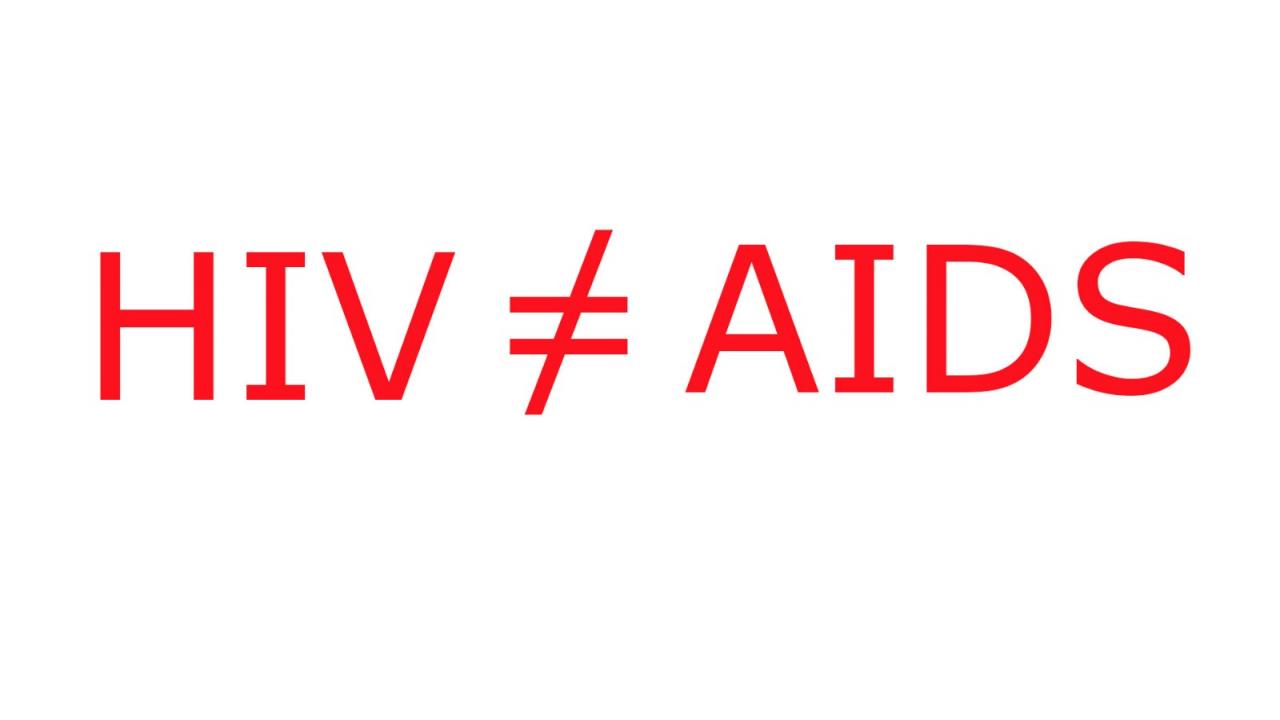 HIV is not AIDS - poză 1 HIV is not AIDS - poză 1