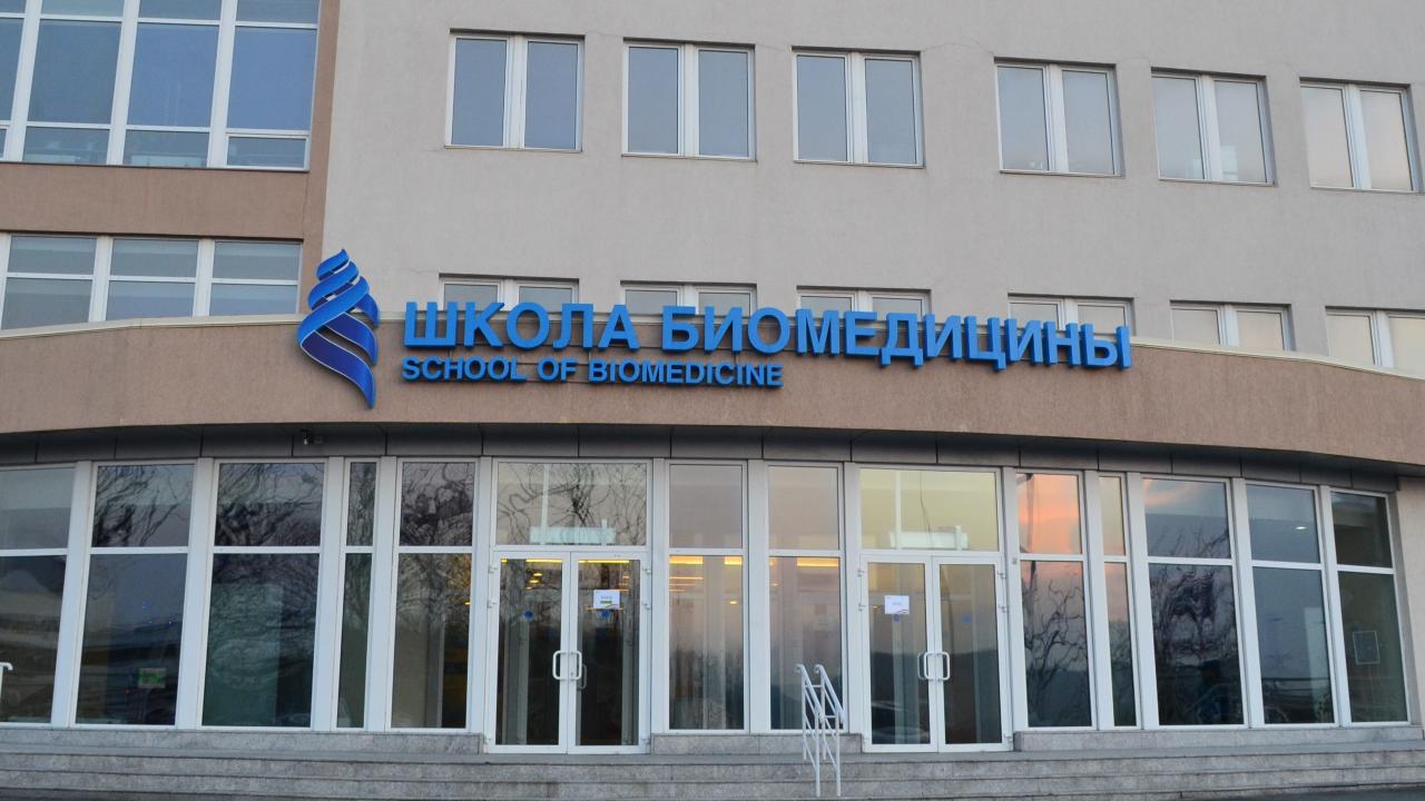 Во Владивостоке создадут центр борьбы с пандемическими угрозами в Азии - изображение 1 Во Владивостоке создадут центр борьбы с пандемическими угрозами в Азии - изображение 1