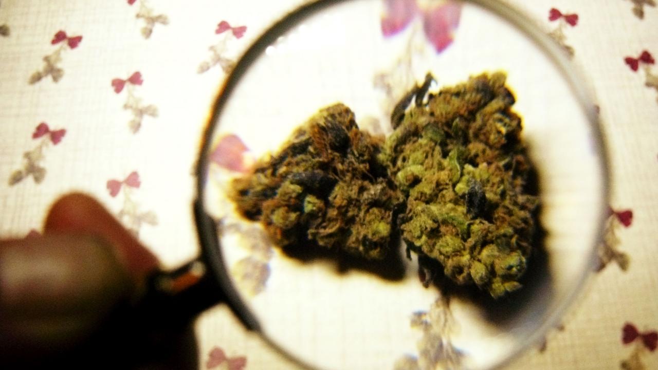 Марихуана может помочь пациентам с ВИЧ повысить психическую выносливость - изображение 1 Марихуана может помочь пациентам с ВИЧ повысить психическую выносливость - изображение 1