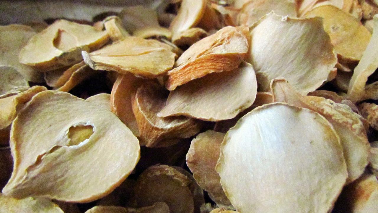 Persian shallot could help fight TB antibiotic resistance - picture 1 Persian shallot could help fight TB antibiotic resistance - picture 1