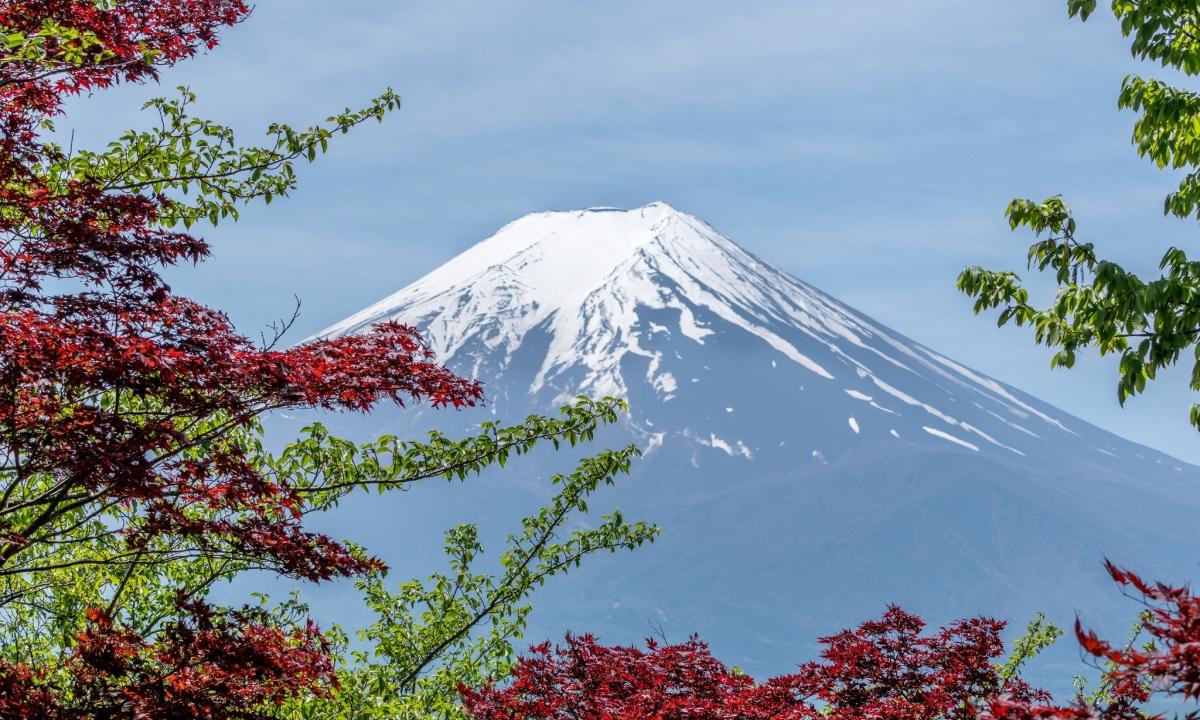 Japan will require TB checks for long-stay visas - picture 1 Japan will require TB checks for long-stay visas - picture 1