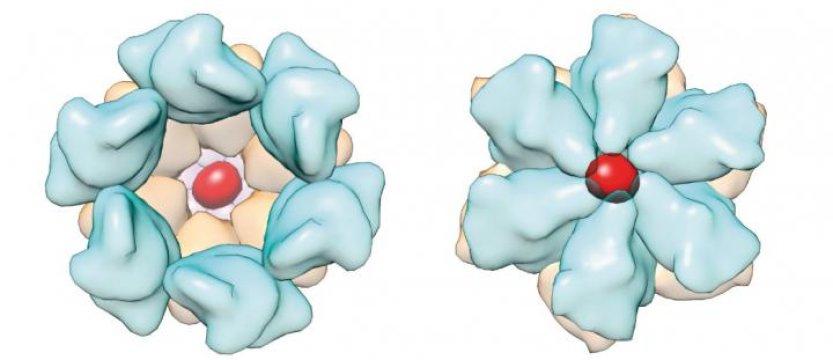 Supercomputer modeling opens the door for developing new methods of HIV treatment, scientists - picture 1 Supercomputer modeling opens the door for developing new methods of HIV treatment, scientists - picture 1