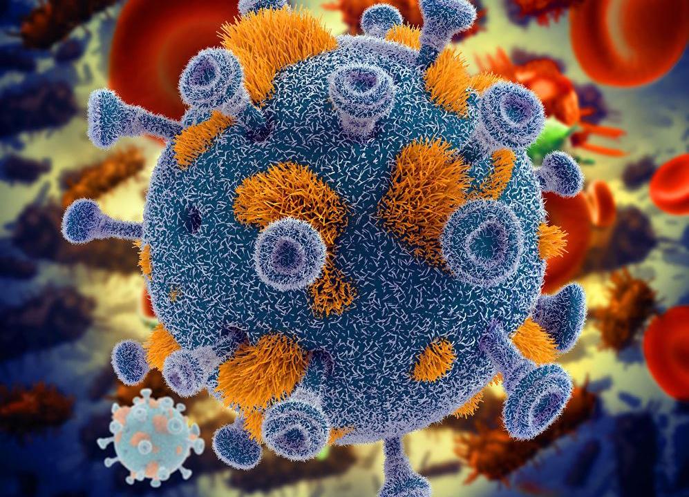 Ученым впервые удалось полностью уничтожить ВИЧ в геноме лабораторных мышей - изображение 1 Ученым впервые удалось полностью уничтожить ВИЧ в геноме лабораторных мышей - изображение 1
