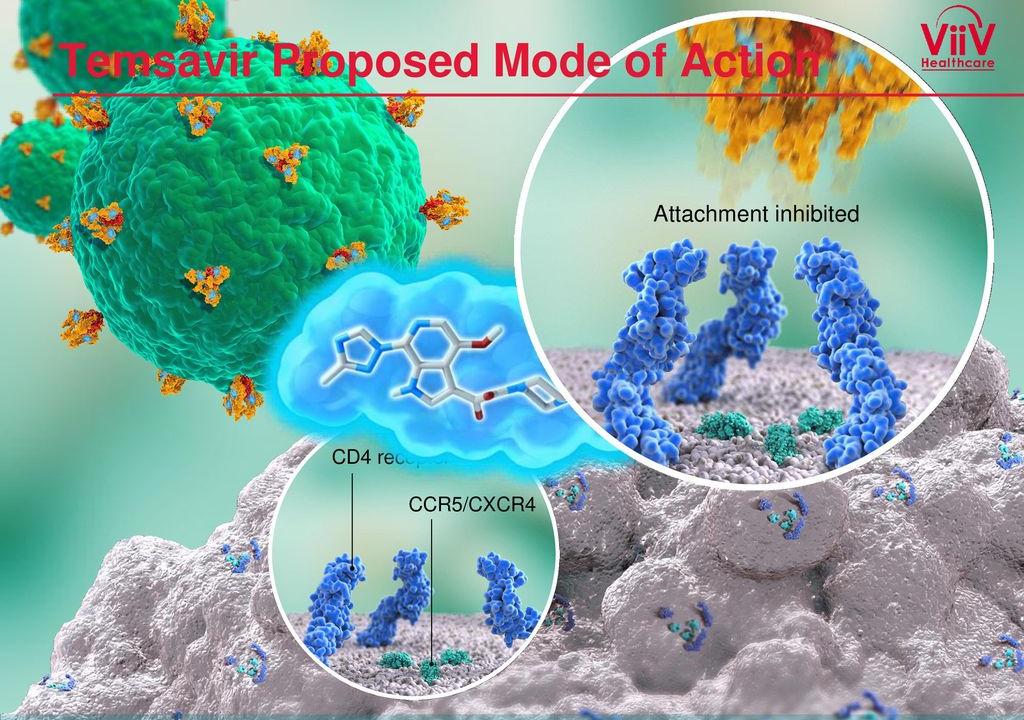 On CROI were presented the latest data of the effectiveness and safety of fostemsavir - immagine 1 On CROI were presented the latest data of the effectiveness and safety of fostemsavir - immagine 1