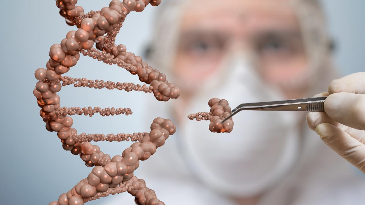 Получены первые данные клинического использования технологии CRISPR против ВИЧ - изображение 1 Получены первые данные клинического использования технологии CRISPR против ВИЧ - изображение 1
