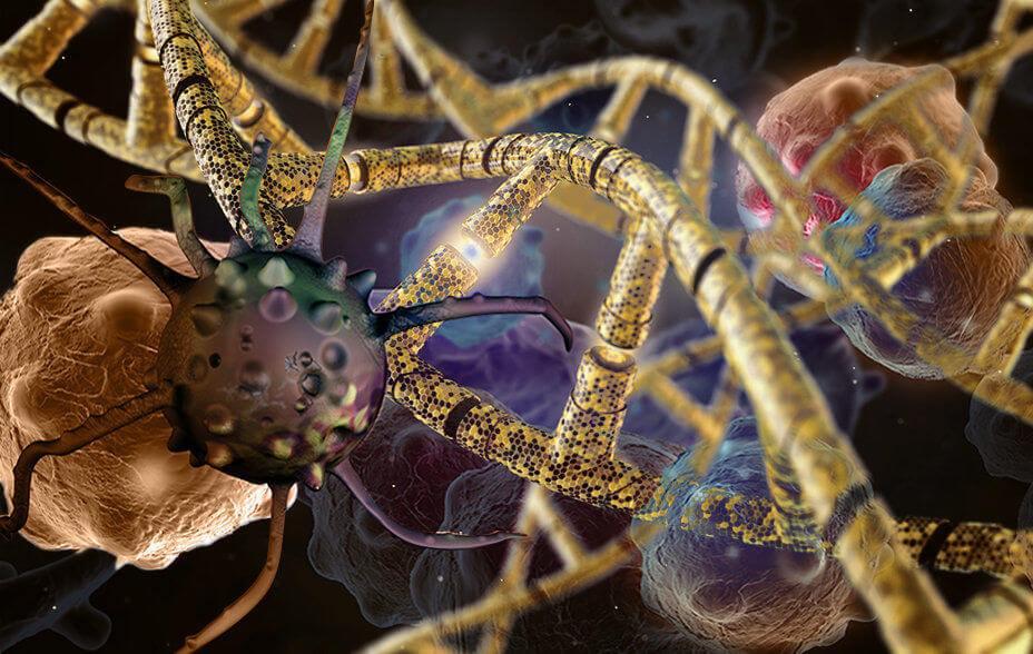 Российские ученые будут использовать технологию CRISPR для лечения ВИЧ Российские ученые будут использовать технологию CRISPR для лечения ВИЧ