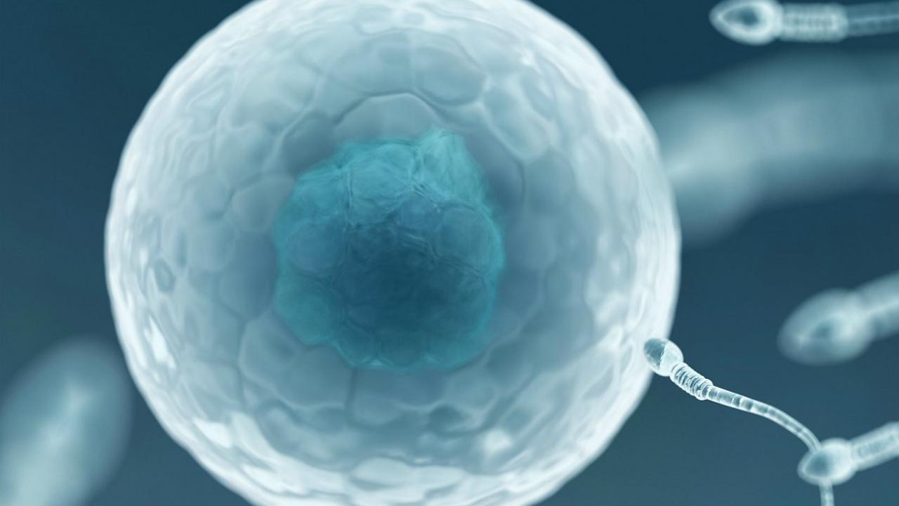 Samenbank in Neuseeland setzt Signal für Spender mit HIV - Bild 1 Samenbank in Neuseeland setzt Signal für Spender mit HIV - Bild 1