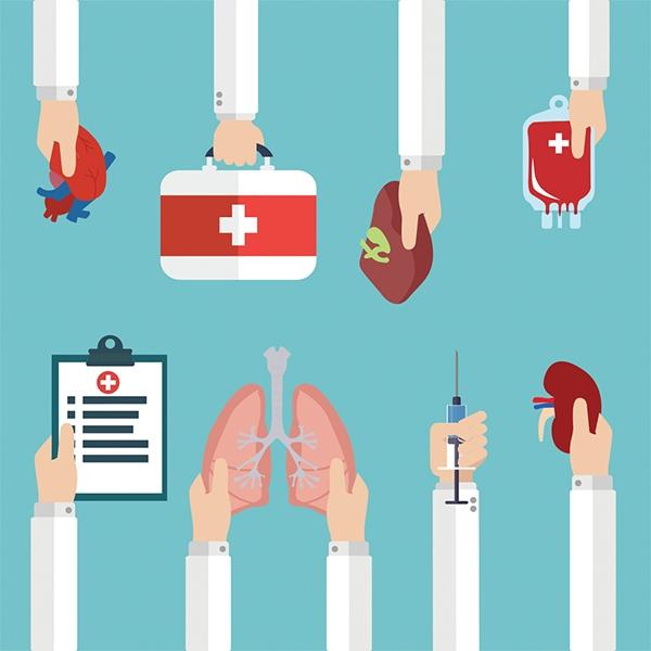 دراسة تتبث تدني خطورة العدوى المزدوجة خلال عمليات زرع الأعضاء بين متبرعين ومتلقين متعايشين مع فيروس نقص المناعة البشري - صورة 1 دراسة تتبث تدني خطورة العدوى المزدوجة خلال عمليات زرع الأعضاء بين متبرعين ومتلقين متعايشين مع فيروس نقص المناعة البشري - صورة 1