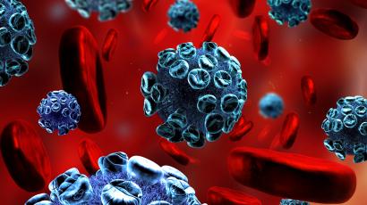 1.3. Description, structure and lifecycle of the virus 1.3. Description, structure and lifecycle of the virus