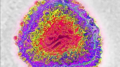 Все новости - изображение 5