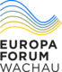 Logo - EFW Visionaries