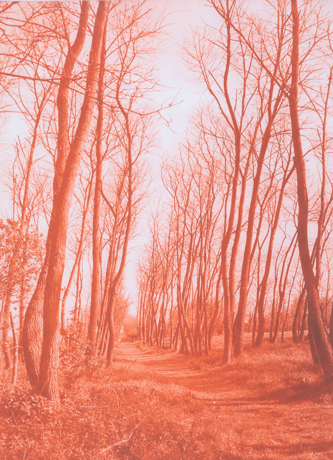 Weg-Blicke orange