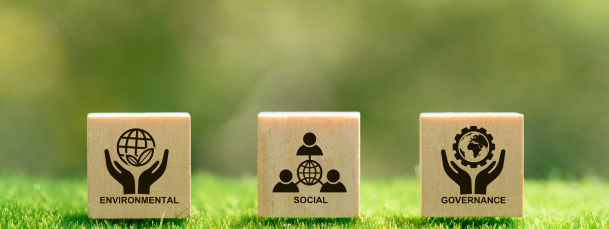 Pcess609, stock.adobe.com