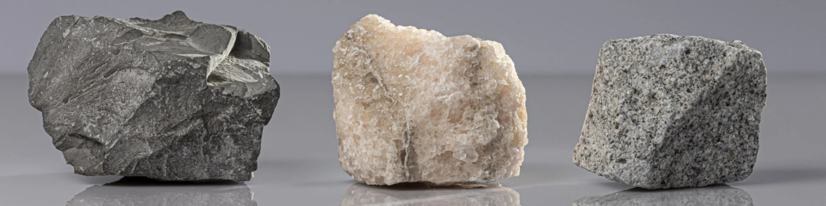 Header - Digitale Dialogveranstaltung