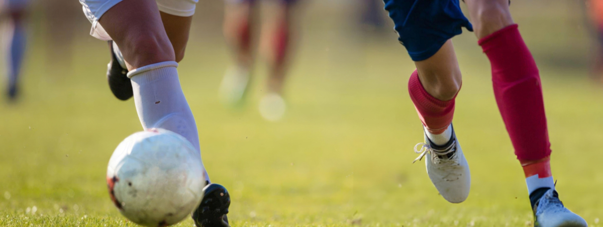 Mateus - stock.adobe.com