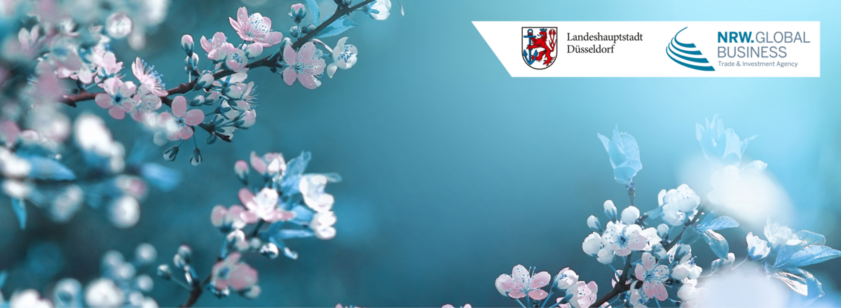 Header - Empfang zum Kirschblütenfest | 桜祭り祝賀レセプション