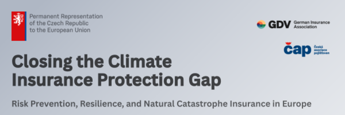 Header - Closing the Climate Insurance Protection Gap