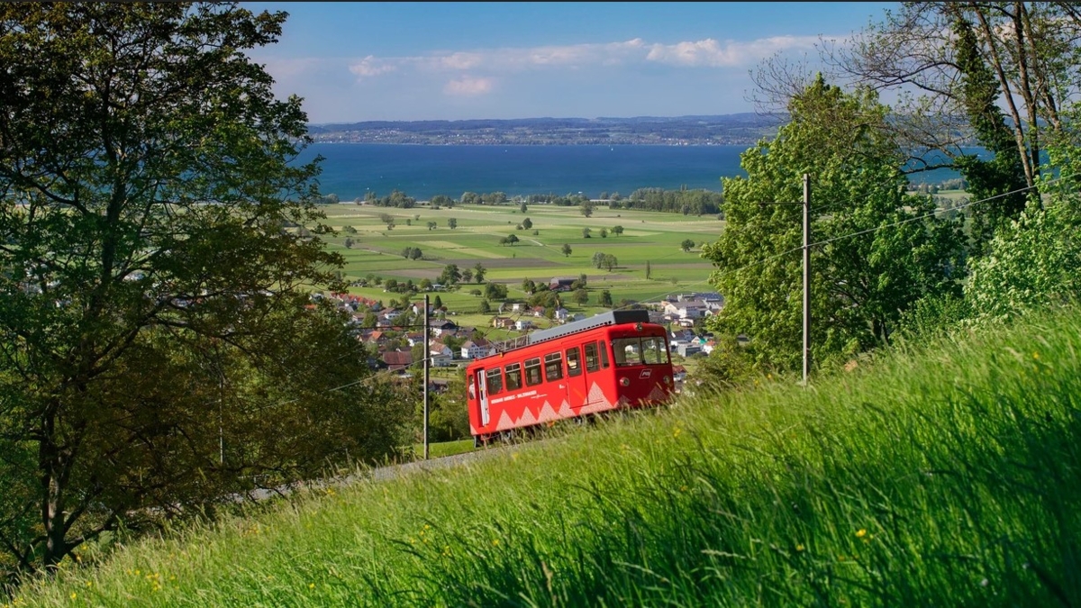 Header - Abteilungsausflug VIa 2026
