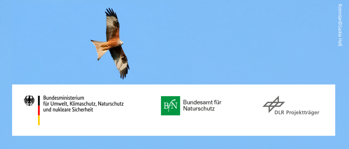 Header - Das Nationale Artenhilfsprogramm (nAHP)