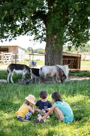 Cabane 1 chambre, avec jardin