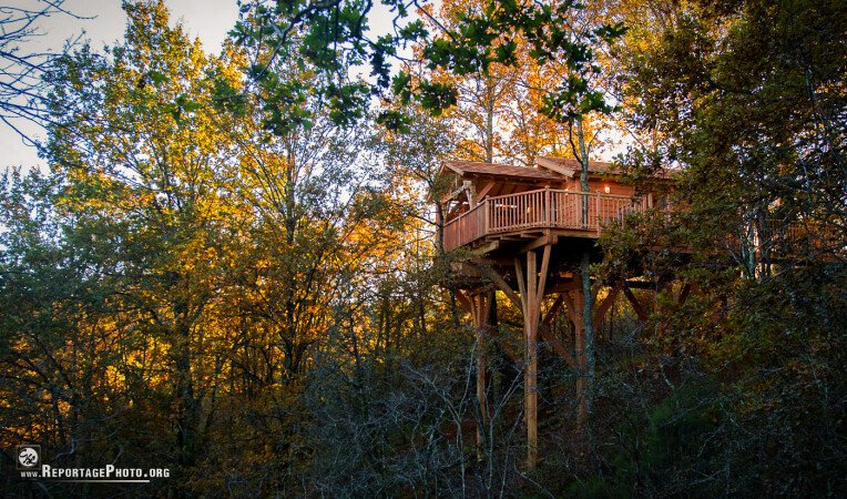 Cabane 1 chambre, avec jardin