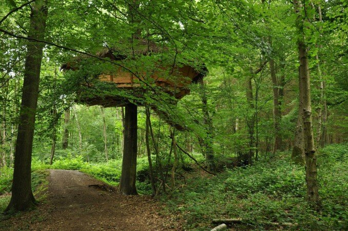 Cabane dans les arbres 1 chambre, avec jardin