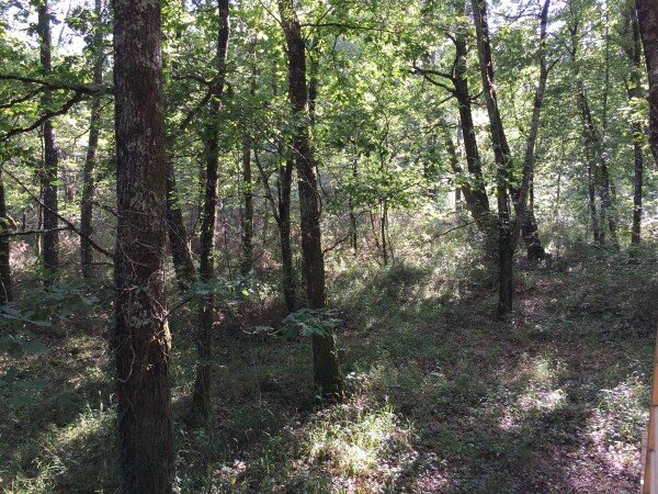 Tente 1 chambre, avec jardin