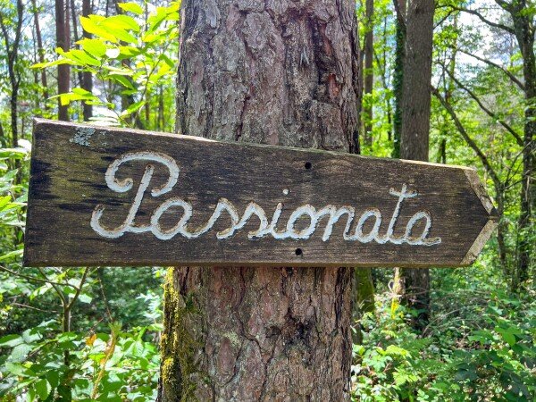 Yourte romantique, 1 chambre, avec jardin