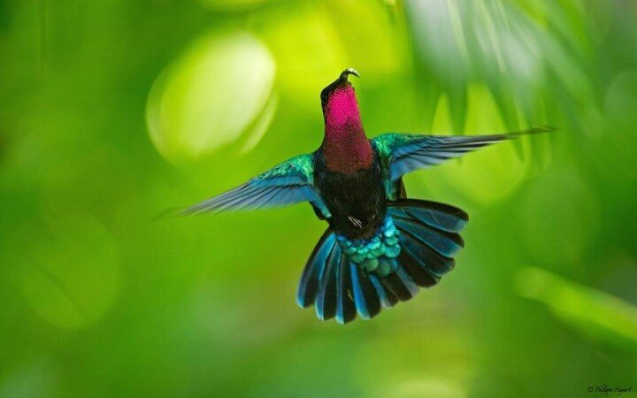 Hébergement insolite 1 chambre, avec jardin