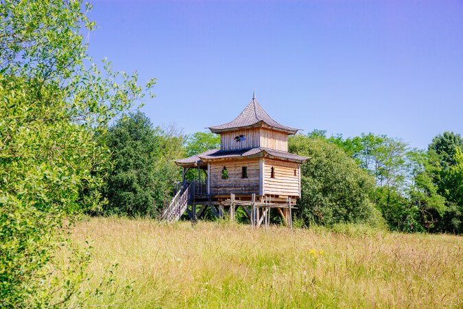 Cabane dans les arbres 2 chambres, avec jardin