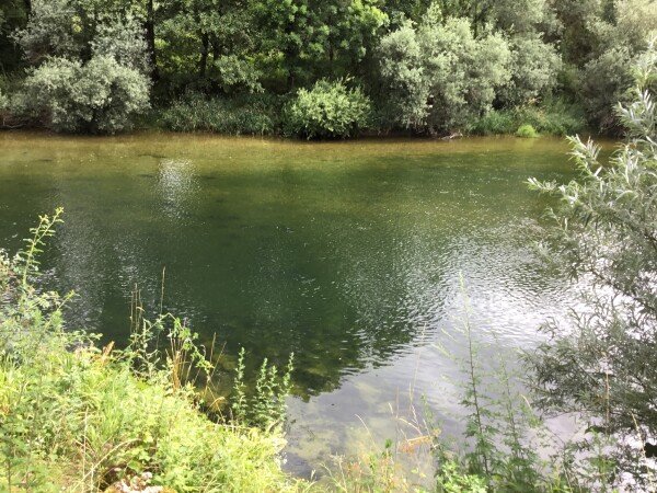 Hébergement insolite 2 chambres, avec jardin