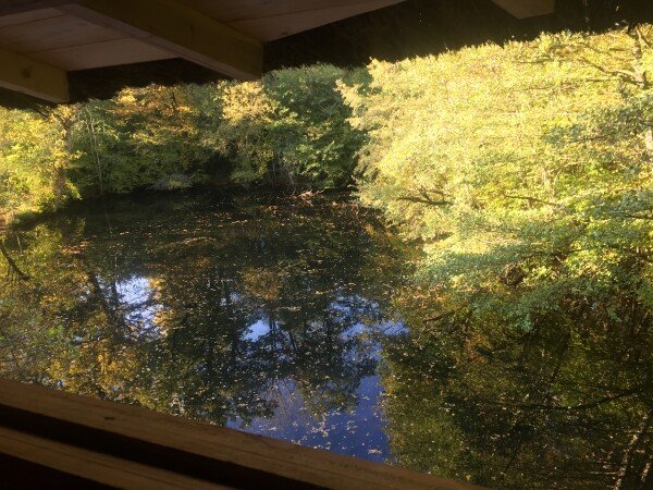 Hébergement insolite 1 chambre, avec jardin