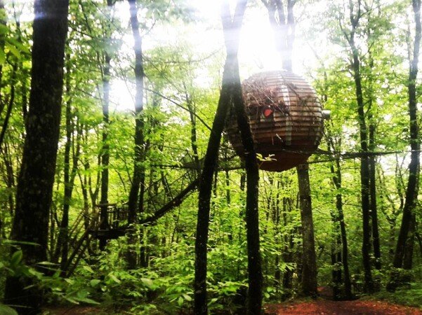 Hébergement insolite 1 chambre