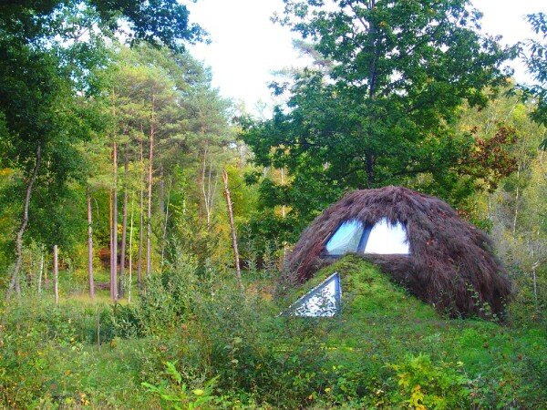 Cabane végétalisée moderne, 1 chambre, avec jardin
