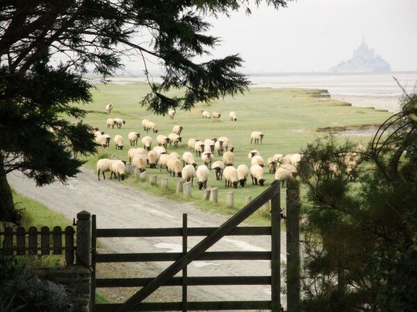 Hébergement insolite 4 voyageurs, avec jardin