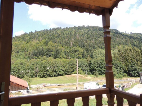 Roulotte 4 voyageurs, avec jardin