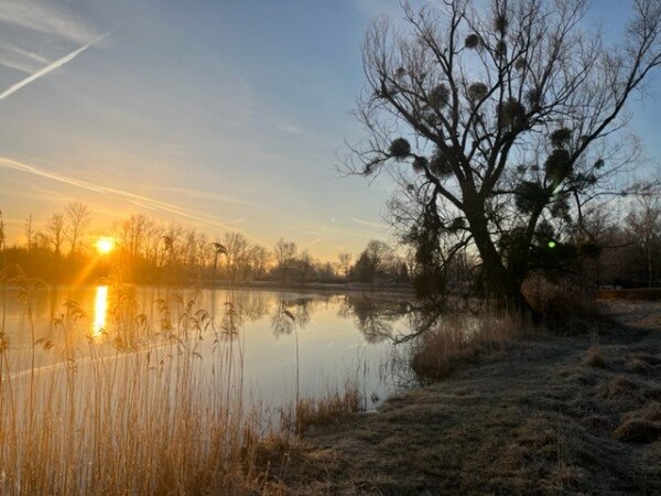 Bulle 1 chambre, avec jardin