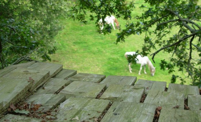 Cabane dans les arbres 1 chambre, avec jardin