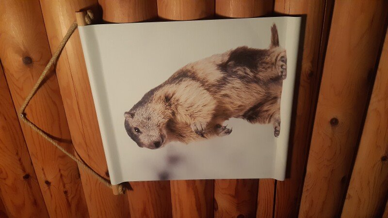 Chalet 2 chambres, avec jardin